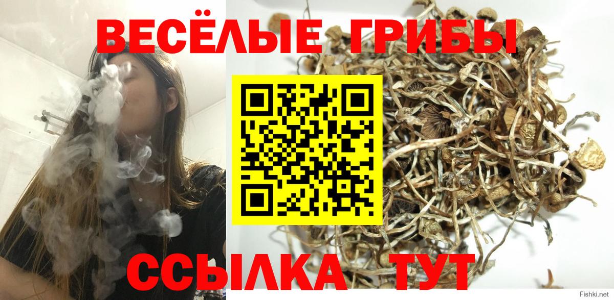 Псилоцибиновые грибы ЛСД Каменск-Шахтинский