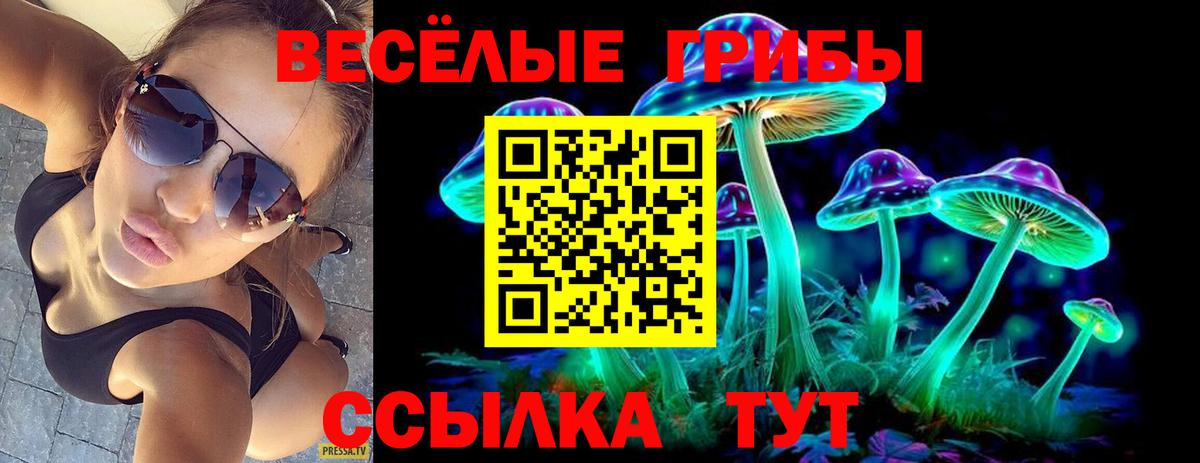 Галлюциногенные грибы MAGIC MUSHROOMS  Вход с VPN  Каменск-Шахтинский 